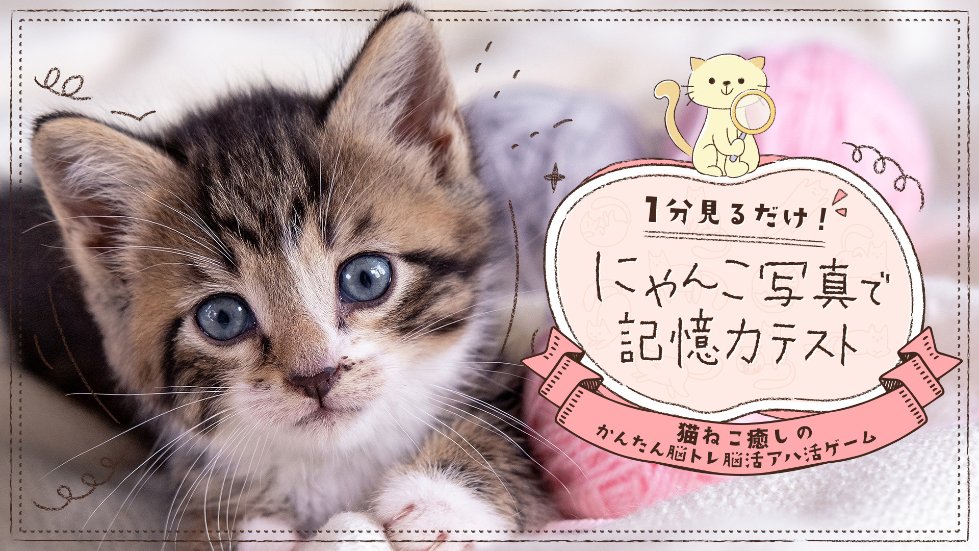 1-Bu Mirudake! Nyan ko Shashin de Kioku-ryoku Test